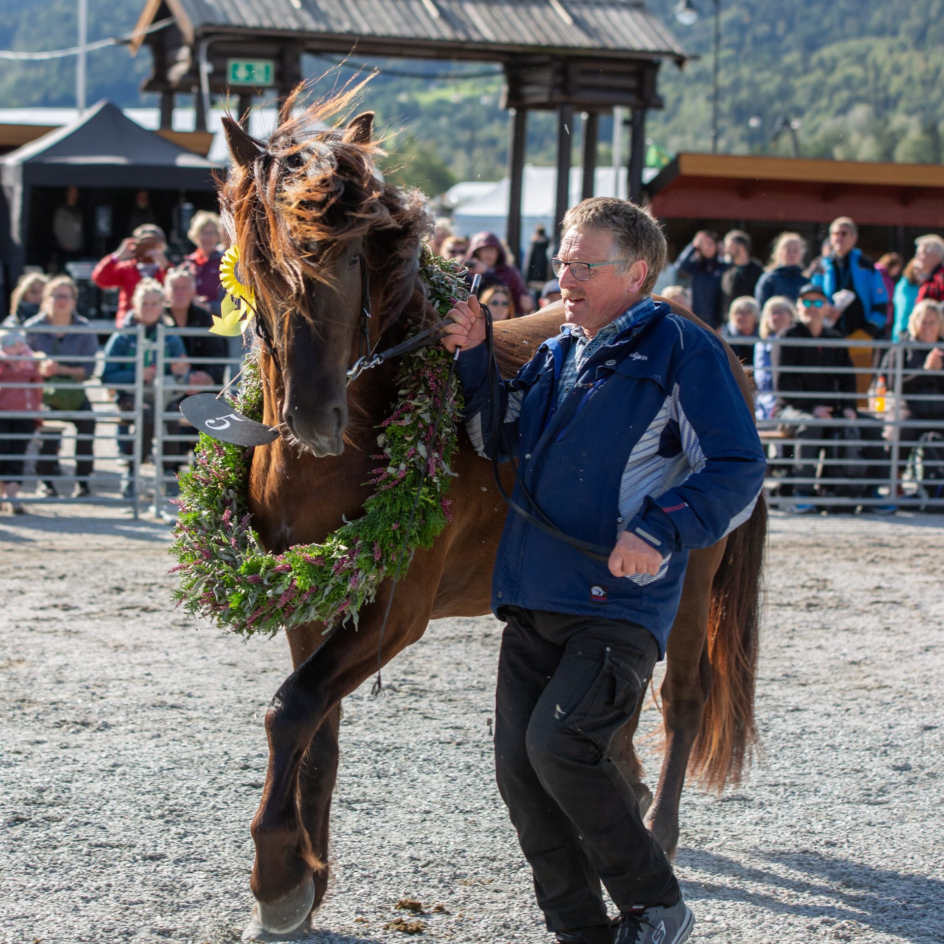 Hesteutstillinga på Dyrsku'n er blant ei av dei største i landet, og premiane frå utstillinga heng høgt. Kaldblodstravaren Ness Tjo Stjernen vart kåra til Dagens unghest på Dyrsku'n 2019.