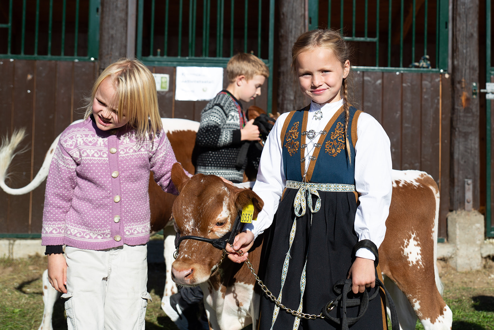 Dyrsku'n er eit eldorado for barn med mange aktivitetar, dyr og kurs.