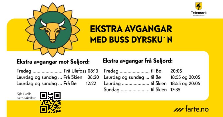 Oversikt over busstider til Dyrskun fra Farte