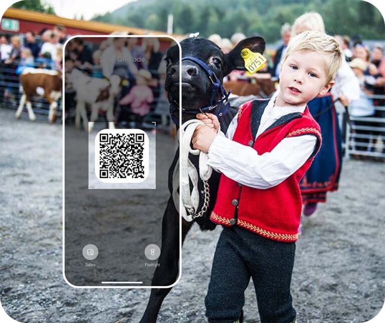Qr kode og bilde av gutt med ku til AI guide