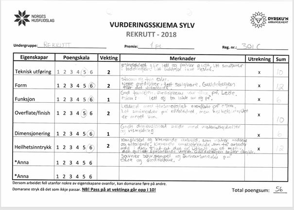 Eksempel på utfylt vurderingsskjema