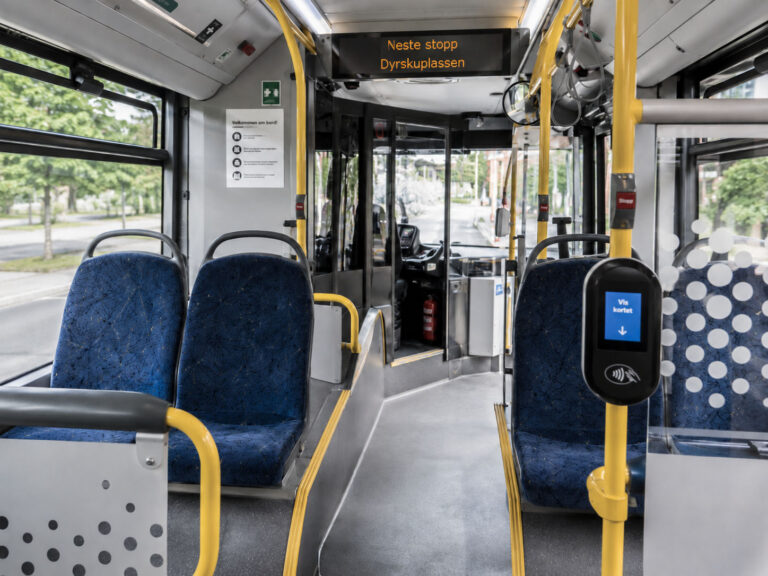 Buss bilde Dyrskun