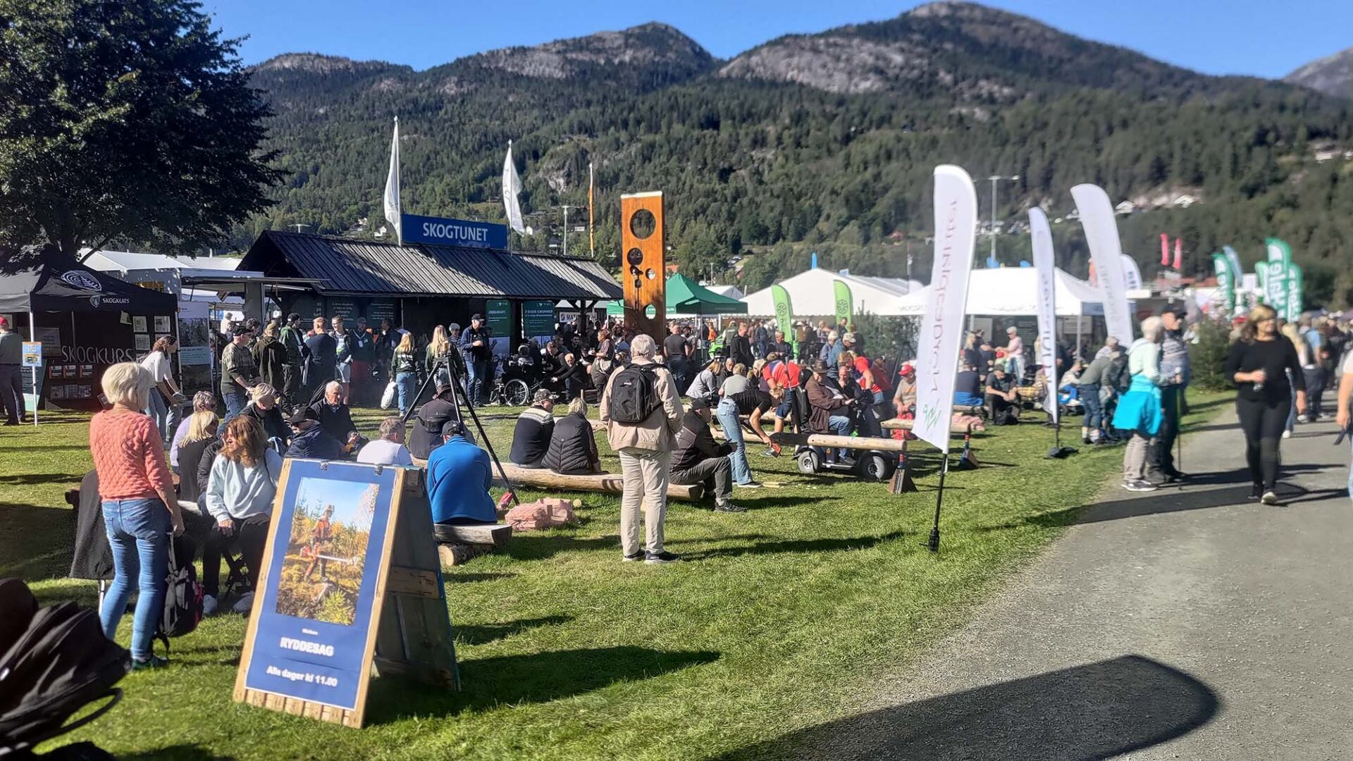 Skogtunet oversikt