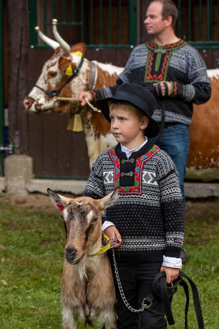 Ku og Geit. Foto Mona B Kasin