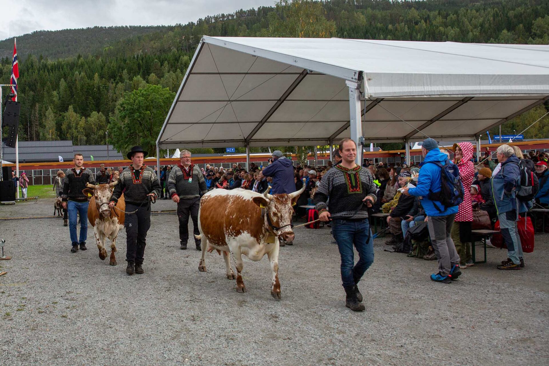 Fra opninga til Dyrsku'n med husdyr